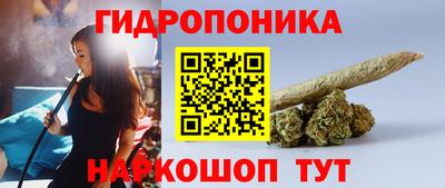 шишки Заводоуковск