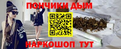 шишки Заводоуковск