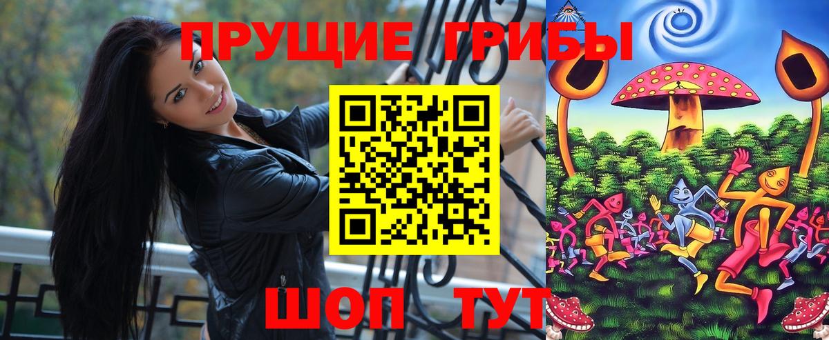Галлюциногенные грибы Cubensis  Вход с VPN  Мичуринск 